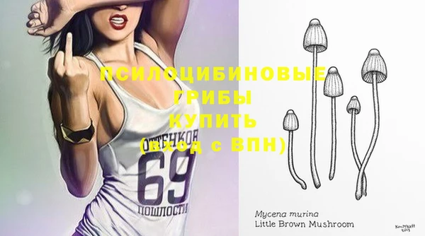 эйфоретик Абаза