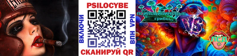 Псилоцибиновые грибы Psilocybine cubensis  shop наркотические препараты  Ленинградская 